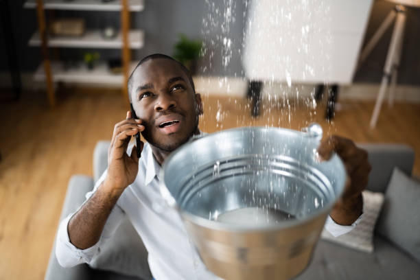  Forestde, AL Water damage restoration Pros