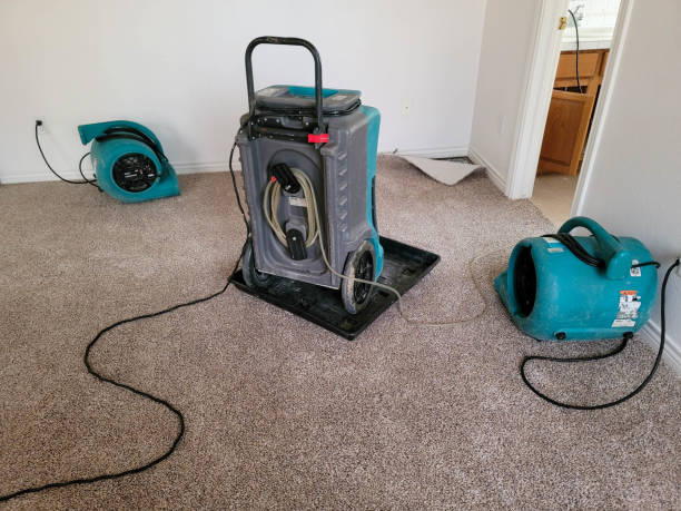 Best Fire Damage Restoration  in Forestde, AL