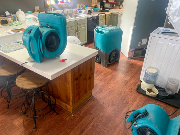 Best 24/7 water damage repair  in Forestde, AL