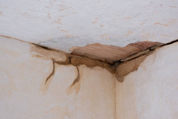 Best Local water damage restoration  in Forestde, AL