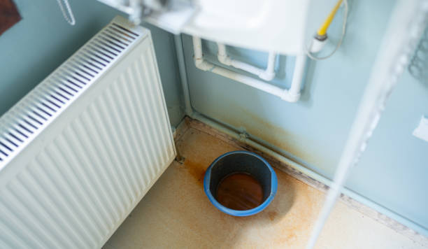 Best Sewage cleanup and water damage restoration  in Forestde, AL
