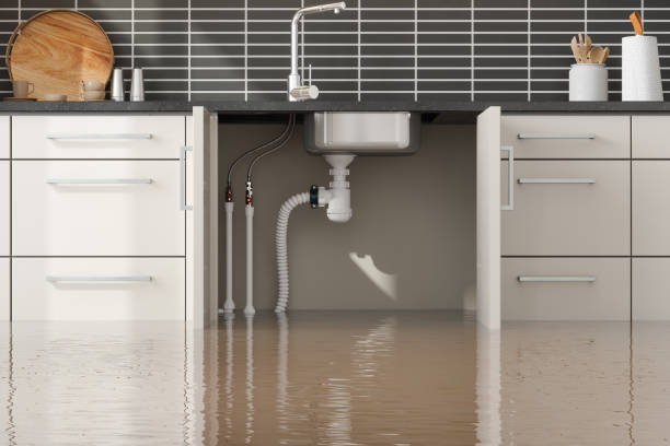 Best Basement water damage restoration  in Forestde, AL