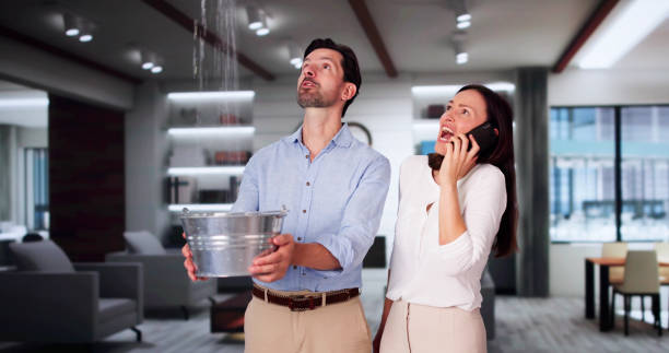 Reliable Forestdale, AL Water damage restoration Solutions