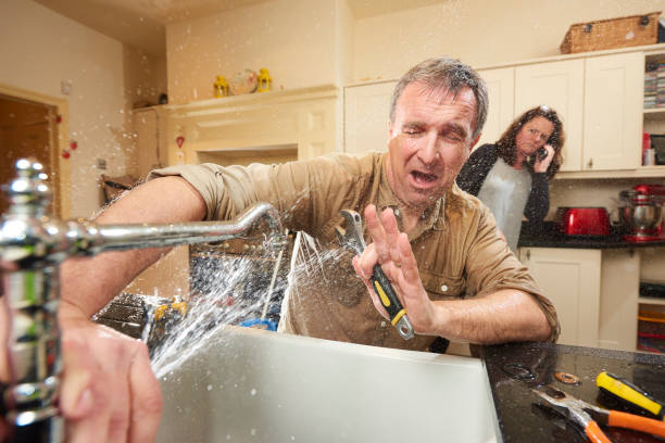 Water damage restoration mold remediation in Forestdale, AL